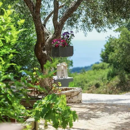 Villa Bella Vista & *